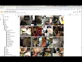 Training a Yolo V5 Object Detector in Colab