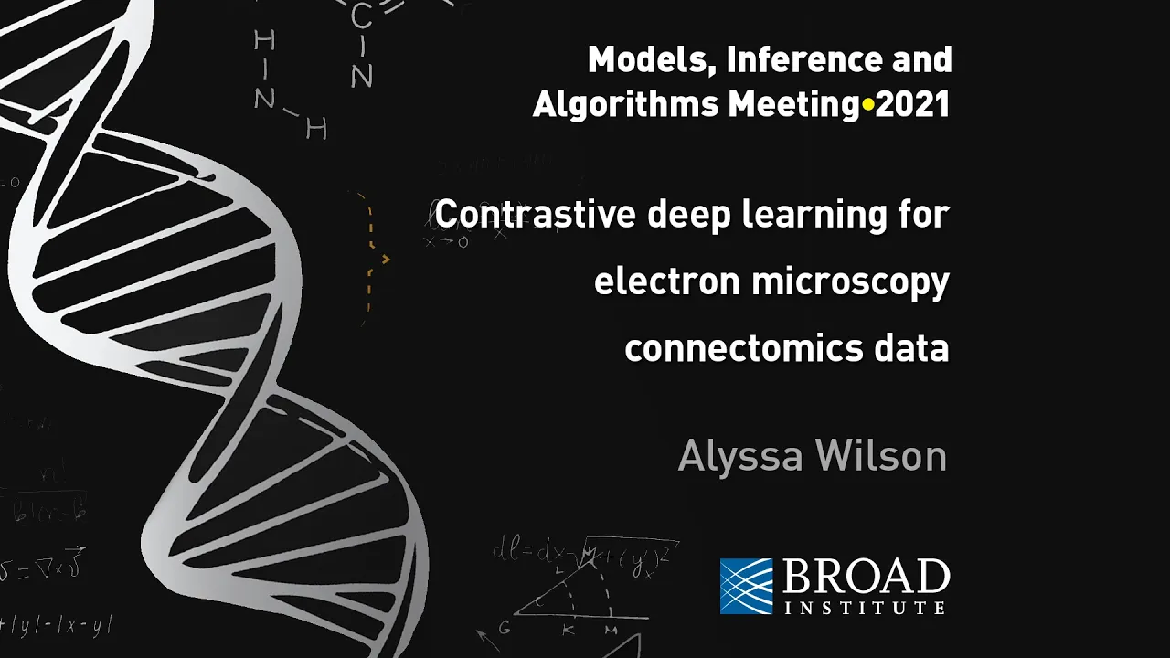 MIA: Alyssa Wilson, Contrastive deep learning for electron microscopy connectomics data (2021)