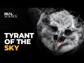 The Insane Biology of The Harpy Eagle