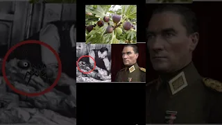 اتاتورك مات بالنمل الاحمر وكان علاجه في أية من القرآن استهزأ بها 