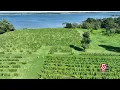 Connecticut boasts an extensive and creative wine trail