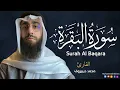 Download Lagu سورة البقرة ( كاملة ) للقارئ محمد ديبيروف | Muhammad Dibirov Surah Al-Baqara