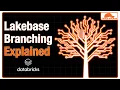 Branch Your Database Like Code on Databricks Lakebase Branching Demo w Kevin Hartman Databricks