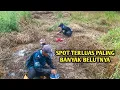 VIRAL!! SPOT TERLUAS YANG DI HUNI OLEH BELUT BELUT MONSTER
