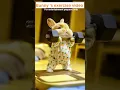 Download Lagu Bunny's exercise time #shorts #ai video #rabbitvideo
