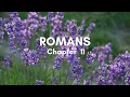 Romans Chapter 11 - English Standard Version ESV Bible