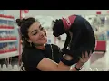 PetSmart Adoptions in STORE