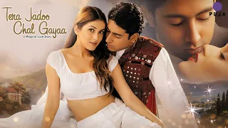 Tera Jadoo Chal Gaya Full Movie | Abhishek Bachchan & Kirti Reddy | HD Movie | Superhit