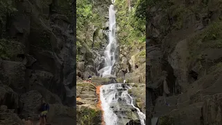 Trafalgar falls, Dominica! #travel #caribbean #beautifulplace dominica #sailingfamily #waterfall