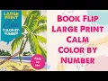 Book Flip - Calm Large Print Color by Number