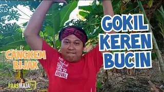 Download Story WA dagelan jowo keren Lucu - Prasmaja TV MP3