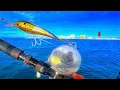 Fishing Over HUGE Bait Schools in PENSACOLA Beach for My DINNER Catch Clean Cook