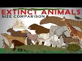 Random Extinct Animals Size Comparison vol2 Smilodon Imperial mammoth Deinotherium Terror birds