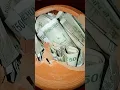 Download Lagu gullak short video #money Bank#saving#paisa#paisa#trending #youtube /#gullak#shorts