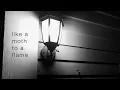 Download Lagu Ever More Nest - What's Gone Is Gone (Official Lyric Video)