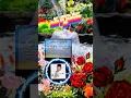 Download Lagu Kisah Malaikat Jibril Menceritakan Siksa Neraka Kepada Rosulullah - Ceramah Alrm. KH. Zainuddin MZ.