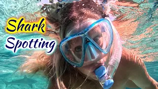 SDA205 Barracuda Blockade & Turtle Trove | Sailing Bahamas