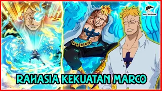 kekuatan api biru marco the phoenix one piece