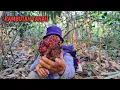 Download Lagu Berpetualang mencari buah-buahan, menanam bibit pohon di hutan dan memasak jamur liar | Kang Kumang