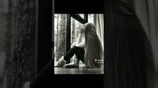 تعبتني الدنيا كتير سرقت قلبي وأيامي    دندنها