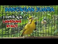 Suara pancingan BURUNG MOZAMBIK Agar Langsung GACOR