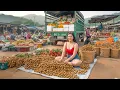 Download Lagu Harvesting 1000+ Longans from Villagers, Use Truck Transport Longans Go to Market Sell