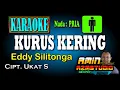 Download Lagu KURUS KERING KARAOKE Nada PRIA