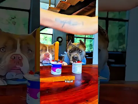 الراجل حط فطار الكلاب في التلاجة… والنهاية كانت مفاجأة! 😂🐶