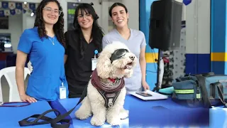 Jornada médica para mascotas Suzuki