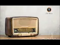 Bold And Brave Wazir Patar Club Music  Punjabi Song Bass Boosted