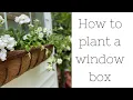 How to plant a window box