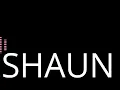 Download Lagu SHAUN - MORE THAN WORDS