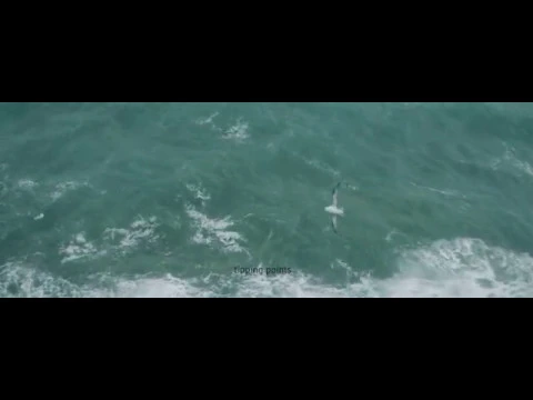 Apausalypse - Trailer