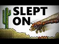 This is Terraria s most under-used biome