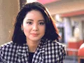 Goodbye my love / 再見我的愛人 - Teresa Teng / 邓丽君 (traducido al español)