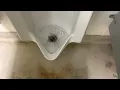 7 006 Petco Men s Restroom