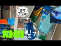 Download Lagu I play well alone❕Looking for blue...🦋💙🐬💭 (#LivingAloneDiary4️⃣) Making dishes•Hongdae prop shop ...