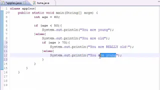 Java Programming Tutorial 18 Nested if Statements