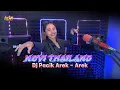 Novi Thailand - Dj Pacik Arek Arek (Dj Minang Terbaru)