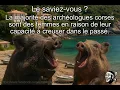 Memes corses hilarants la macagna dans toute sa splendeur Compilation qui va vous faire rire
