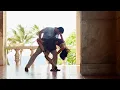 Download Lagu Tropicana Club Salsa Dance Music - The Mambo Cha Cha Cha Kings Video 2