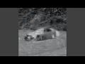 Trunk (Slowed + Reverb)