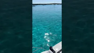 Best new coffee spot!  We have a new video out tomorrow morning! #coffeetime #newvideo