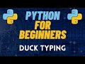Python For Beginners - 44