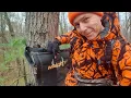 Muddy MLS1550 Skybox Ladder Tree Stand - Long Term Review