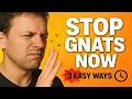 How to Keep Gnats Away From Your Eyes Nose Mouth Best Ways to Repel Gnats Outdoors