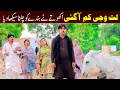 Download Lagu //Bhootna,Shoki, Bilo Cheena \u0026 Sundri, Muskan New Funny Video By Rachnavi Tv2