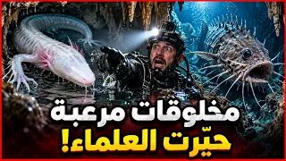 كائنات مرعبة التقطتها الكاميرات بالصدفة داخل الكهوف