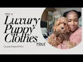 Luxury Dog Fashion Haul Meet Solo the Best-Dressed Cockapoo