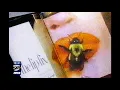 Estella Warren interviewed by Jeanne Beker Fashion TV